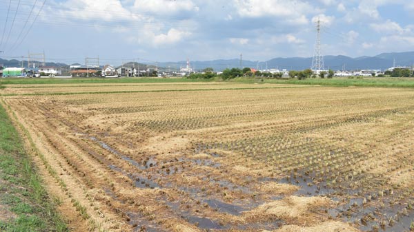 住宅・商業・医療の複合開発が計画される長者原西地区