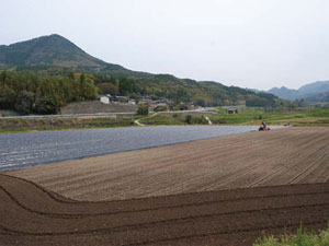 河野和幸圃場