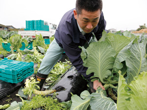 農業生産法人(株)さかうえ代表