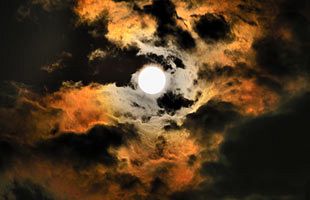 タカタの最高権力者は 女帝 と呼ばれた高田暁子氏だ 後 公式 データ マックス Netib News