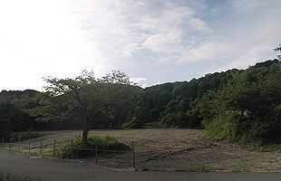 名門 筑女の異変 忍者村跡地2万坪を教育目的外で購入 公式 データ マックス Netib News 名門 筑女の異変 忍者村跡地2万坪を教育目的外で購入 公式 データ マックス Netib News