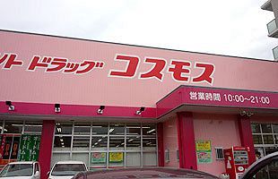 九州のドラッグストア 再編は不可避 厳しくなる中堅中小チェーン 公式 データ マックス Netib News