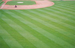 エンゼルス大谷が1号2ラン