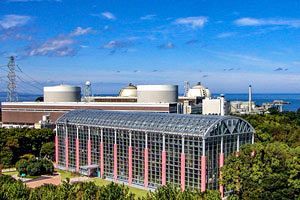 国とメディアのウソ、そして地方自治体と住民 ──玄海原発を考える──（後）