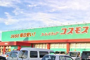 コスモス薬品 第1四半期、21店出店し8.8％増収