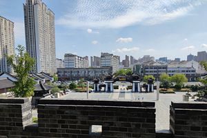 中国経済新聞に学ぶ～中国の少子化問題が深刻、女性の5割が「出産しない」