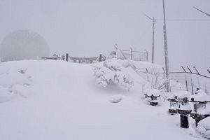 『脊振の自然に魅せられて』大雪の脊振山へ（前）