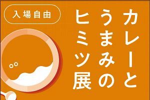 【夏休みイベント】くばラボ『カレーとうまみのヒミツ展』8月11日から