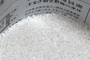 政府備蓄米（小泉米）、かなり良い