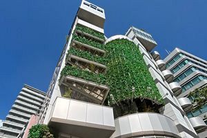 【クローズアップ】都市政策は再開発から都心部緑化へ 福岡市・グリーンビル促進事業