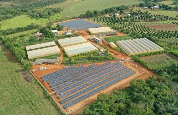 自然電力、ブラジルでの太陽光発電所が完工～電力供給は8月中に開始