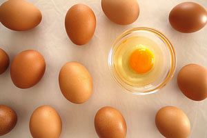 イフジ産業、26年3月期中間決算は大幅増収も減益