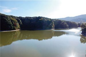 すでに始まっていた、樋井川の「流域治水」（後）