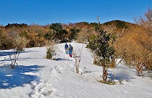 『脊振の自然に魅せられて』～体調不良の雪山あるき