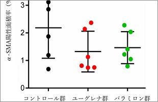 ミドリムシ摂取で肝硬変・肝臓がんリスクにつながる「非アルコール性脂肪性肝炎」の抑制作用