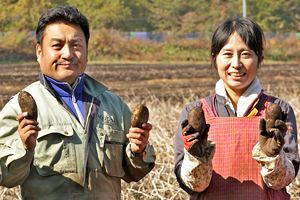 本当は食糧不足にならない日本 これから100年、持続可能な農業（前）