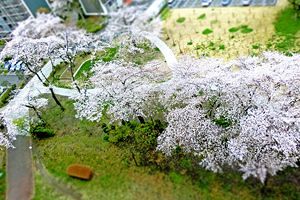 自治会がなくなれば居場所もなくなる（後）