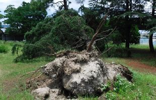 防災協定対象に公園・緑地も追加　官民連携による災害復旧（前）