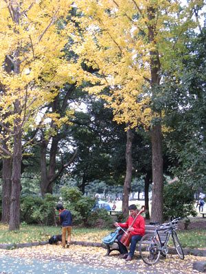 地域包括ケアシステムはシンガポールに学べ！（後）