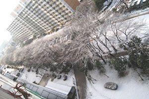 災害時、行政対応の温度差と高齢者の救済対策（後）