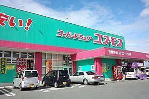 コスモス薬品55倍、トライアル37倍　過去19年の売上成長率