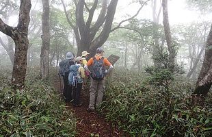 『脊振の自然に魅せられて』すばらしい脊振のブナ林