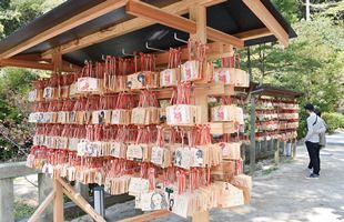 100年後も人が集い、憩う場所へ竈門神社に見る神社の在り方（中）