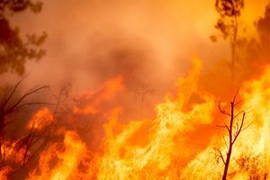 マウイ島の大規模な山火事を引き起こしたのは自然改変兵器？