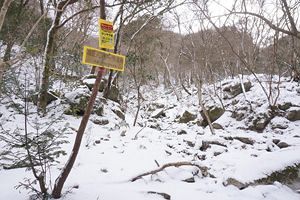 『脊振の自然に魅せられて』新雪の脊振山（後）