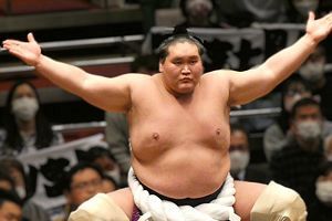 照ノ富士　日本人の腹黒さを知る