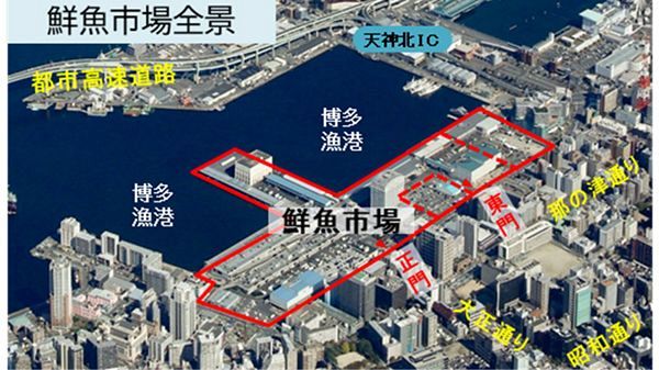 鮮魚市場の店舗解体工事、藤田土木JVが落札