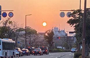 日は沈み、また昇る～コロナは必死で生きる