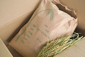 【小売こぼれ話】下がらない店頭価格の真因は政府が招いた失策