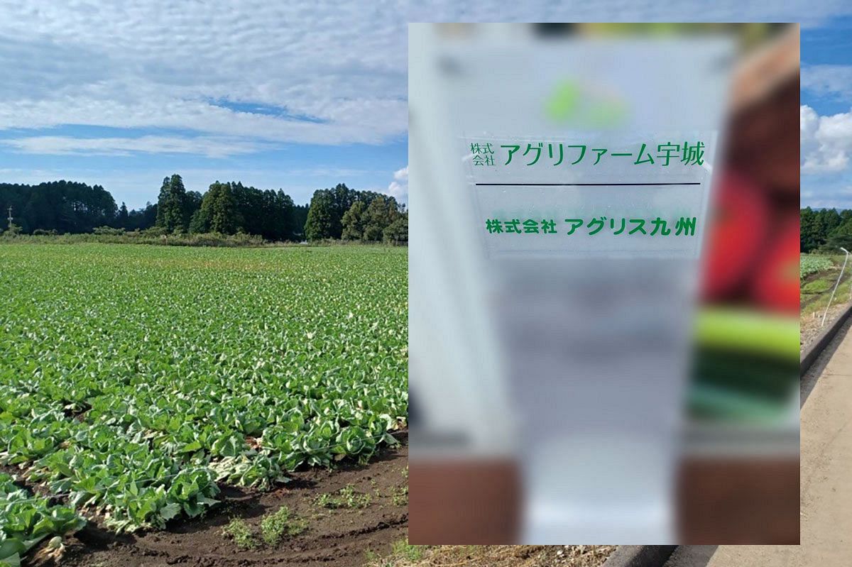 【経済事件簿】「登録必要」指摘後も事業継続 畑野被告が語った24億円集金の内幕
