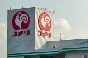 コメリ3月期、減収減益 既存店客数6.3％落ち込む