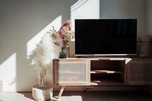 希代の暴君の前に言論は無力なのか？