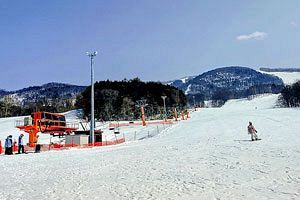 今年もスキーを満喫～シリーズ番外編