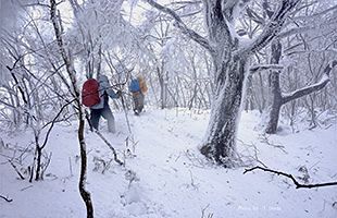 『脊振の自然に魅せられて』大雪の金山登山