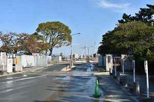 九大箱崎キャンパス跡地の道路築造、18.4億円で鴻池組が落札