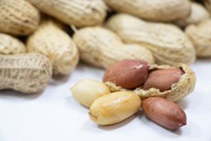 世界で広がるピーナッツ消費：老化防止効果への期待