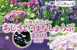 【5／23～6／16】「石橋文化センター　あじさい・はなしょうぶまつり2019」開催