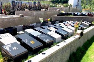 新しいお墓の形～家族、生き方、お墓が変わる（2）新しい需要、樹木葬