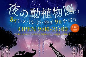 夏の夜に動物たちに会いに行こう～夜の動植物園開催中！