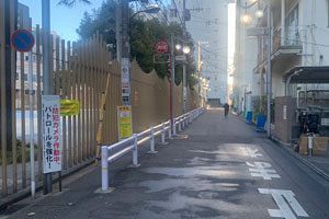 新宿・大久保公園の売春客待ちや「トー横」界隈の今