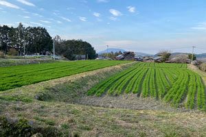 【大手企業を糾弾する／大和エネルギー】脊振山系の風力発電所建設計画からみえること（前）「輝く小さな町」糸島市の豊かな自然を守ることこそ、私たちの責任