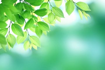 【動向注目】桜坂の結婚式場「サクラディア」賃貸契約切られる