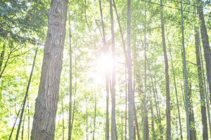 【BIS論壇】松木さんの音楽&科学