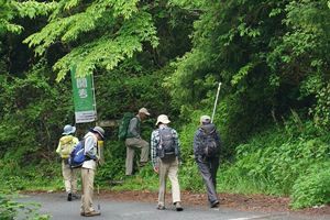 『脊振の自然に魅せられて』金山登山祭を開催して（前）