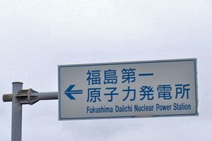 福島原発事故汚染の調査論文が国際原子力機関サイトに掲載・紹介～千葉茂樹氏