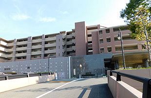 臍帯血の無届け治療容疑で、福岡の販売業者元代表を逮捕